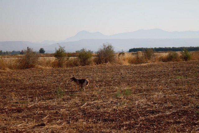 Αγωνες Α.Κ.Ι 18/6/2017